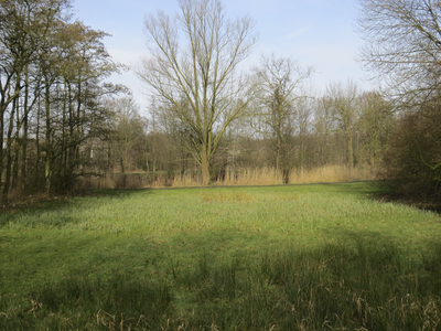 906818 Gezicht op een drassig grasveld in het Park Bloeyendael te Utrecht.